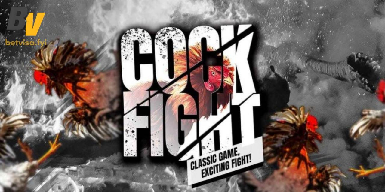 2 Đấu trường hiện đại đang có mặt tại SV388 Cock Fighting